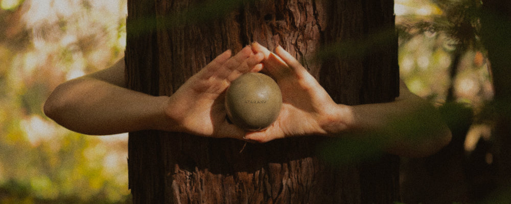 Our Standards: Clean, Conscious, Care