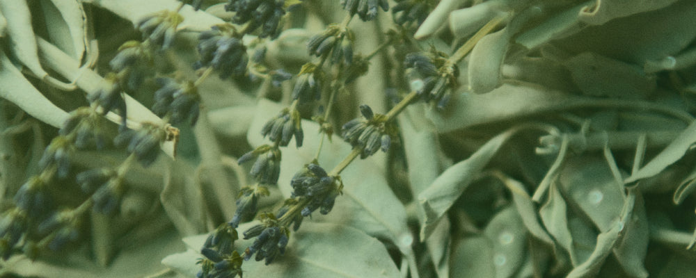 Greenwashing in Soap: When “Natural” Isn’t What It Seems